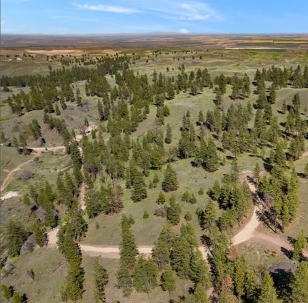 Undeveloped Land for sale in Douglas County, Washington