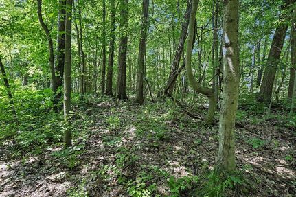 Ranch Property for sale in Saint Joseph County, Michigan
