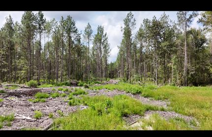 Farm Property for sale in George County, Mississippi