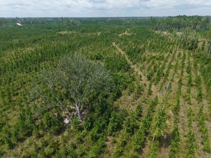 Farm Property for sale in Camden County, Georgia