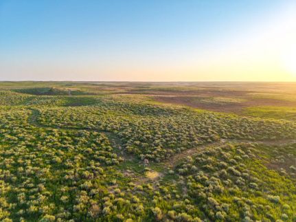 Farm Property for sale in Kearny County, Kansas