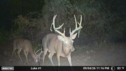 Recreational Property for sale in Howard County, Arkansas