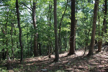 Ranch Property for sale in Page County, Virginia