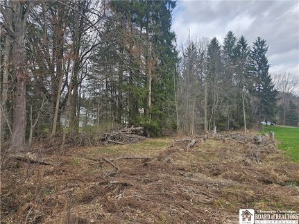 Ranch Property for sale in Cattaraugus County, New York