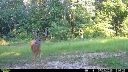Recreational Property for sale in Sullivan County, Missouri