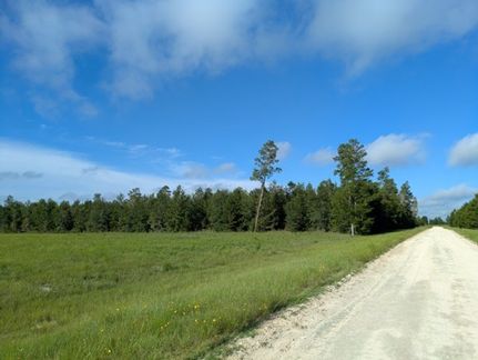 Ranch Property for sale in Madison County, Florida