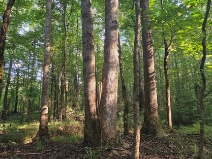 Farm Property for sale in Lee County, Alabama