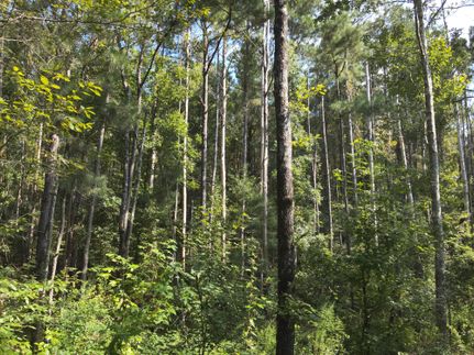 Farm Property for sale in Lawrence County, Mississippi