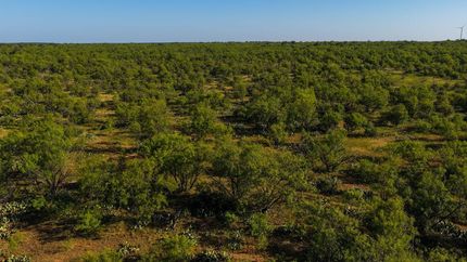 Farm Property for sale in Young County, Texas