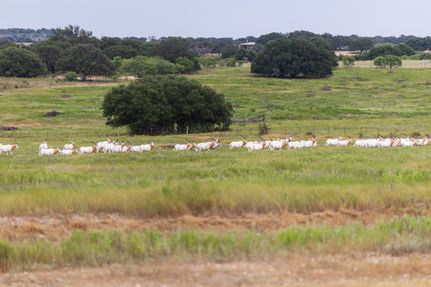 Recreational Property for sale in Mills County, Texas