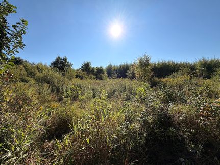 Farm Property for sale in Mille Lacs County, Minnesota