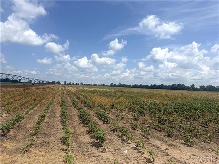Ranch Property for sale in Dunklin County, Missouri