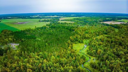 Ranch Property for sale in Beltrami County, Minnesota