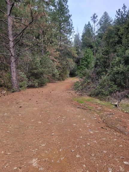 Ranch Property for sale in Placer County, California