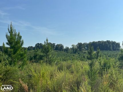 Ranch Property for sale in Pickens County, Alabama