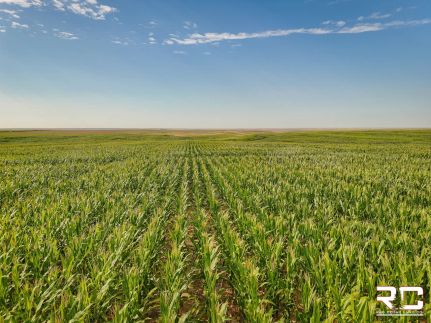 Farm Property for sale in Logan County, Kansas