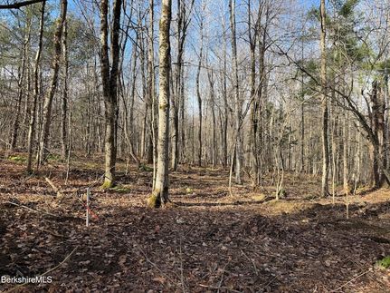 Undeveloped Land for sale in Hampshire County, Massachusetts
