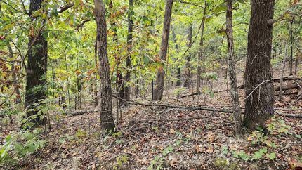 Farm Property for sale in Marion County, Arkansas