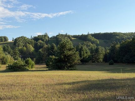 Farm Property for sale in Dickinson County, Michigan