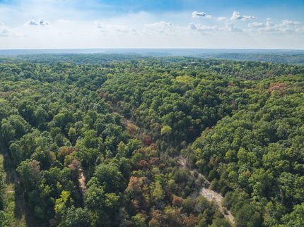 Ranch Property for sale in McDonald County, Missouri