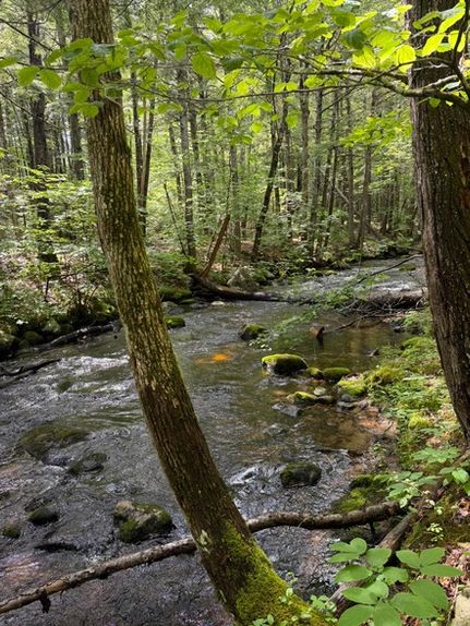 Ranch Property for sale in Cumberland County, Maine