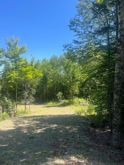 Timberland Property for sale in Washington County, Maine