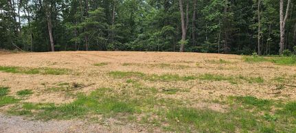 Farm Property for sale in Marion County, Alabama