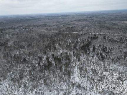 Ranch Property for sale in Koochiching County, Minnesota