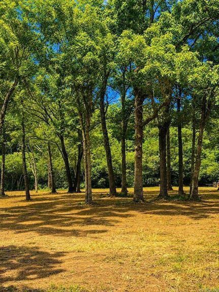 Farm Property for sale in Van Buren County, Arkansas
