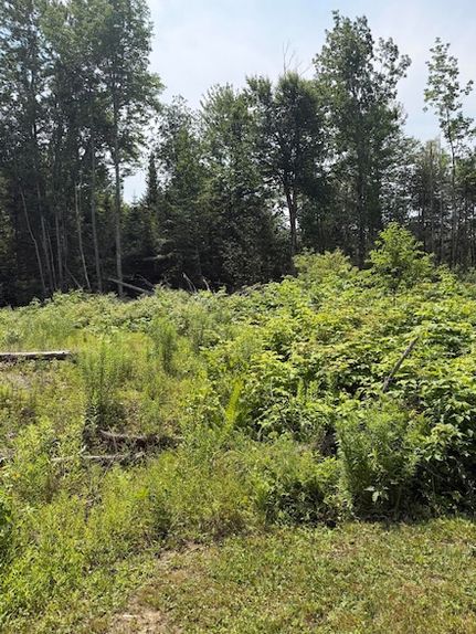 Timberland Property for sale in Penobscot County, Maine