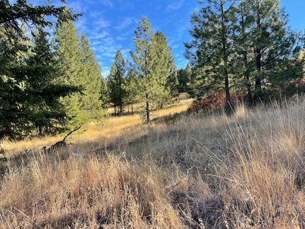 Ranch Property for sale in Stevens County, Washington
