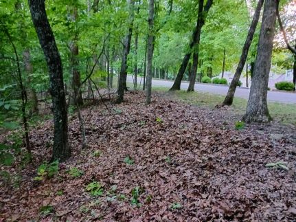 Farm Property for sale in Franklin County, Missouri