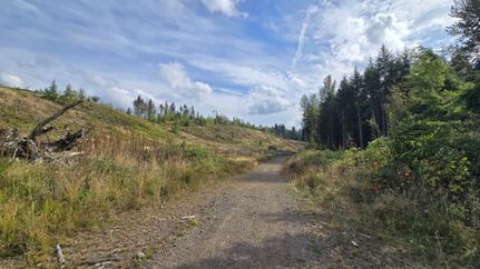 Farm Property for sale in Pierce County, Washington
