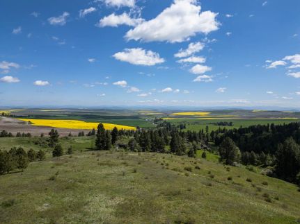 Farm Property for sale in Idaho County, Idaho
