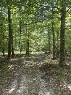 Ranch Property for sale in Benton County, Tennessee
