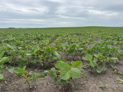 Farm Property for sale in LaMoure County, North Dakota