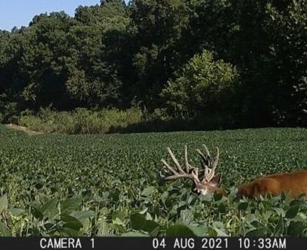 Farm Property for sale in Muhlenberg County, Kentucky
