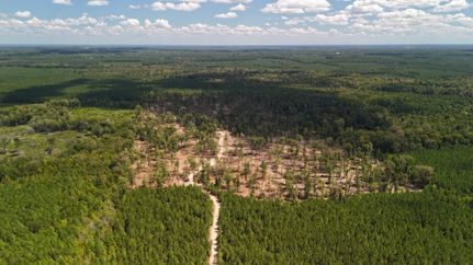 Farm Property for sale in Bradley County, Arkansas