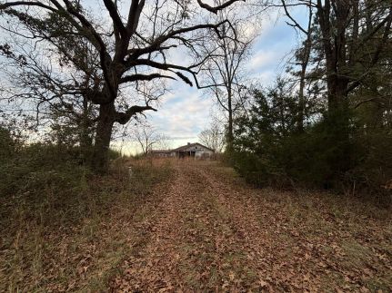 Recreational Property for sale in Newton County, Mississippi