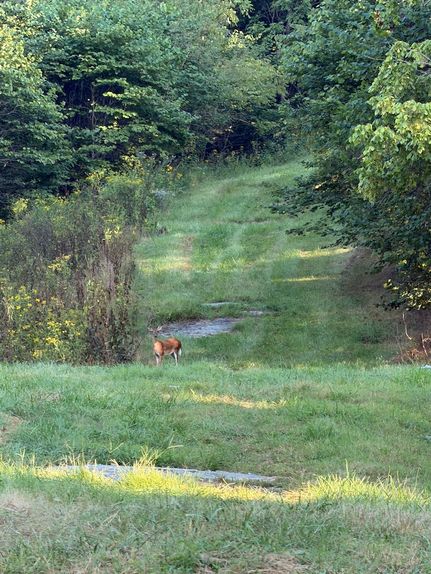 Ranch Property for sale in Washington County, Virginia