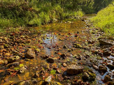 Farm Property for sale in Oregon County, Missouri