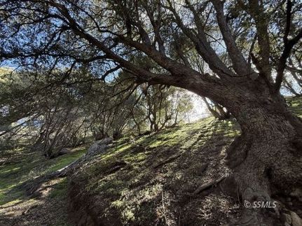 Farm Property for sale in Kern County, California