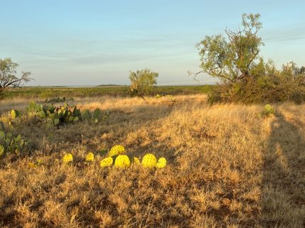 Farm Property for sale in Coke County, Texas