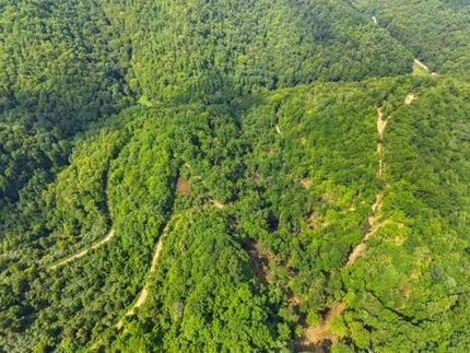 Farm Property for sale in Letcher County, Kentucky