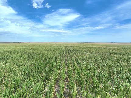 Farm Property for sale in Rawlins County, Kansas