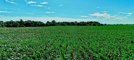 Farm Property for sale in Pratt County, Kansas