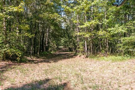 Farm Property for sale in Carroll County, Mississippi