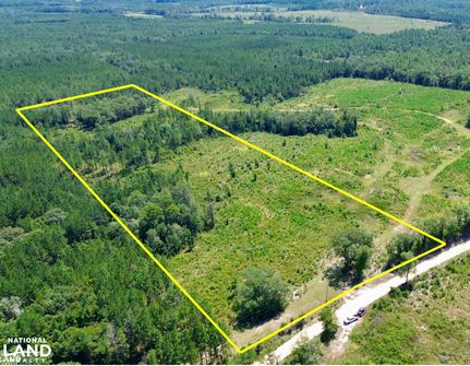 Farm Property for sale in Washington County, Alabama