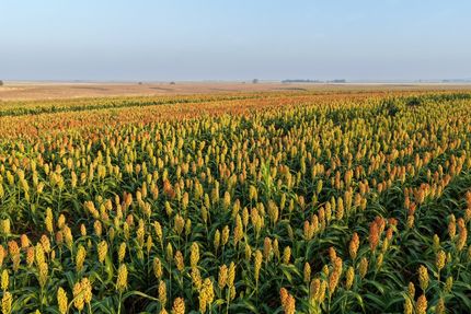 Farm Property for sale in Hodgeman County, Kansas