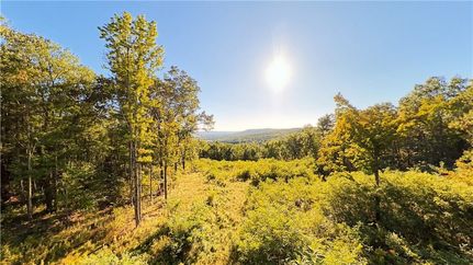 Farm Property for sale in Chemung County, New York